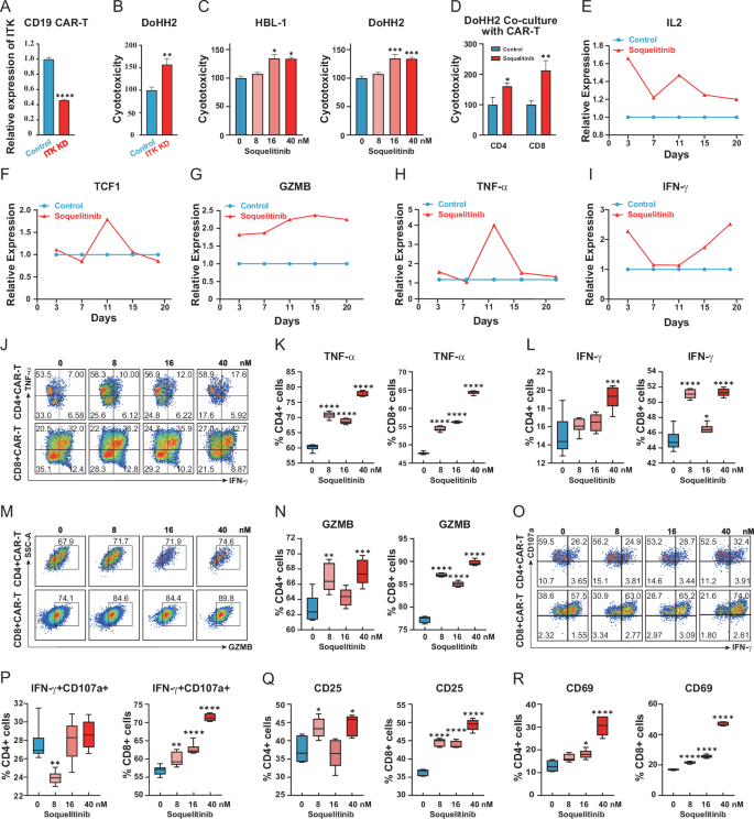 Fig. 1: ITK Inhibition enhance CD19 CAR-T cell activation and cytotoxic function.