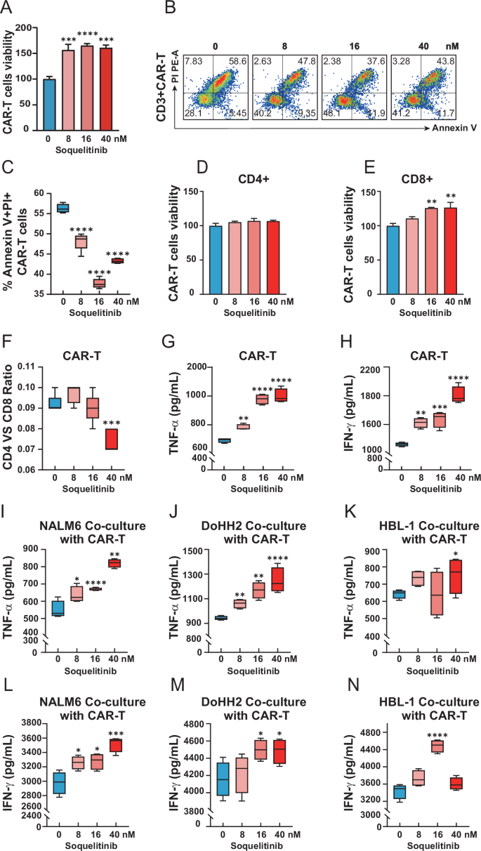 Fig. 2: Soquelitinib enhances the expansion, long-term persistence, and antitumor cytokine secretion capacity of CD19-CAR-T cells in vitro.