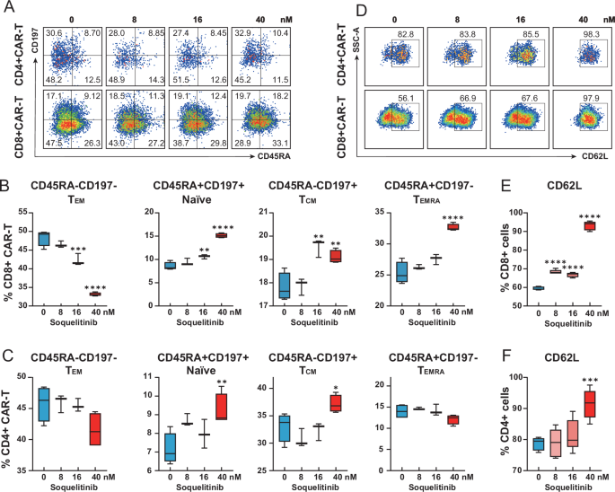 Fig. 3: Soquelitinib reprograms CAR-T cell differentiation.