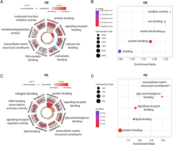 Fig. 2: Integrative functional characterization of differentially expressed protein-coding genes.