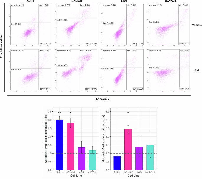 Fig. 1: Salinomycin treatment promoted apoptotic cell death.