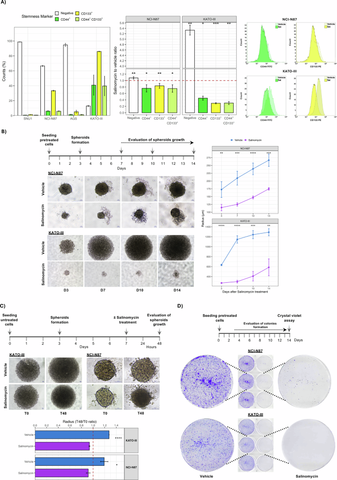 Fig. 7: Salinomycin affects GC stemness markers CD44+ and CD133+ fractions.