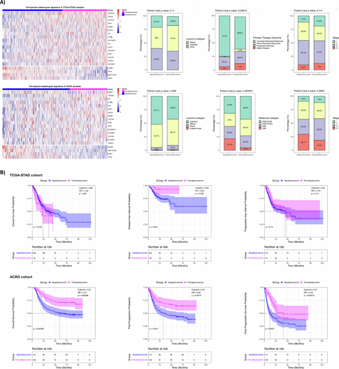 Fig. 8: Association of ferroptosis-related gene (FRG) signature with clinicopathological features and outcomes in gastric cancer patients.