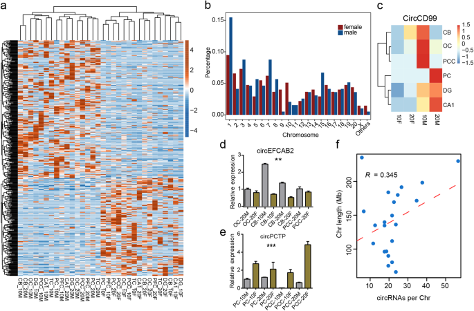Annotation And Functional Clustering Of Circrna Expression In Rhesus Macaque Brain During Aging Cell Discovery Annotation And Functional Clustering Of Circrna Expression In Rhesus Macaque Brain During Aging Cell Discovery