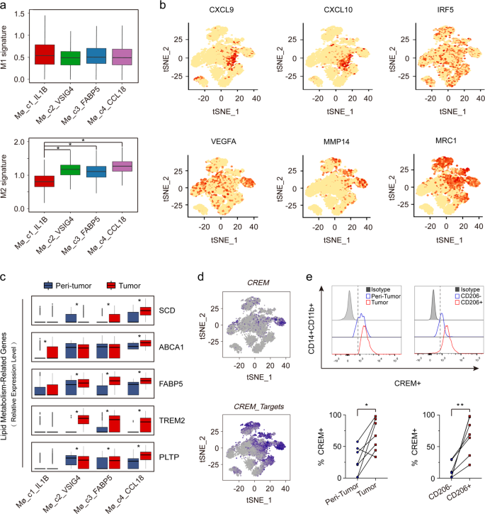 Fig. 3: Transcriptome heterogeneity of four subsets of macrophages.