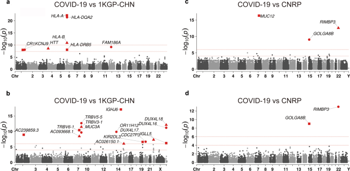 Fig. 6: Single variant and gene-based association test between COVID-19 patients and the general populations.