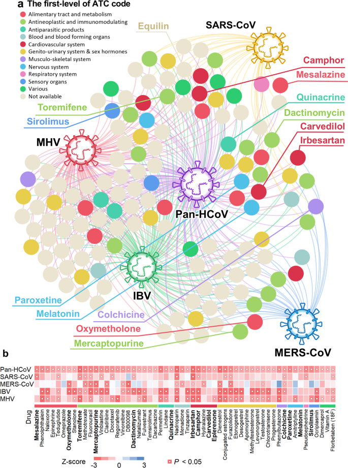 Network Based Drug Repurposing For Novel Coronavirus 19 Ncov Sars Cov 2 Cell Discovery