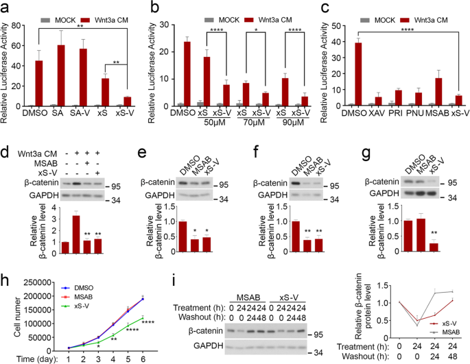 A Protac Peptide Induces Durable B Catenin Degradation And Suppresses Wnt Dependent Intestinal Cancer Cell Discovery