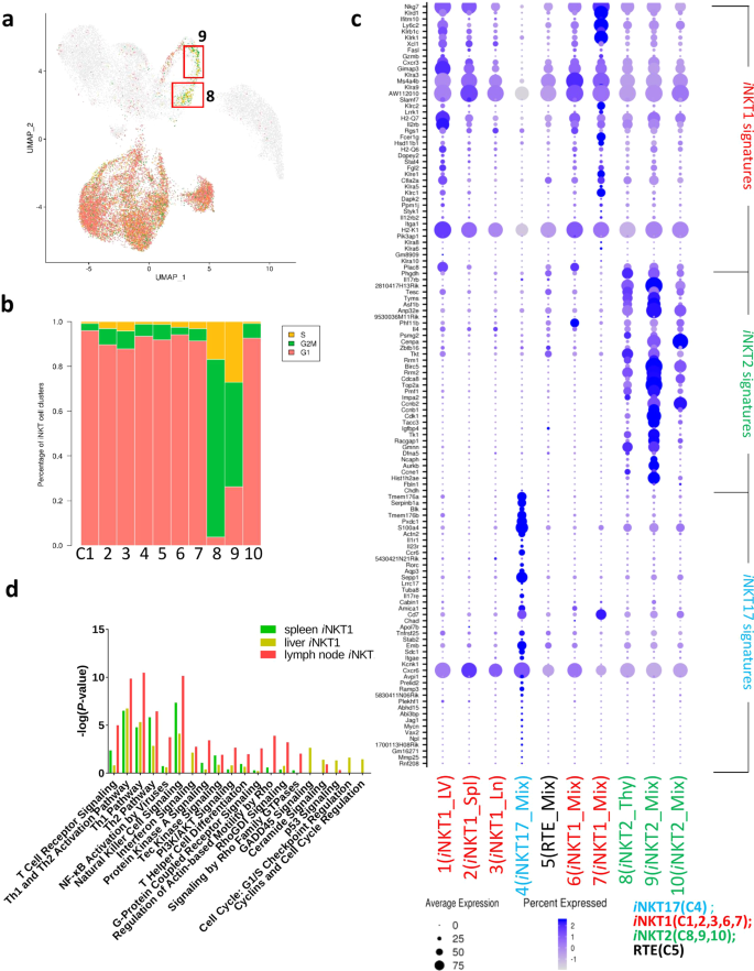 Fig. 2: Different clusters assigned into functional subsets.