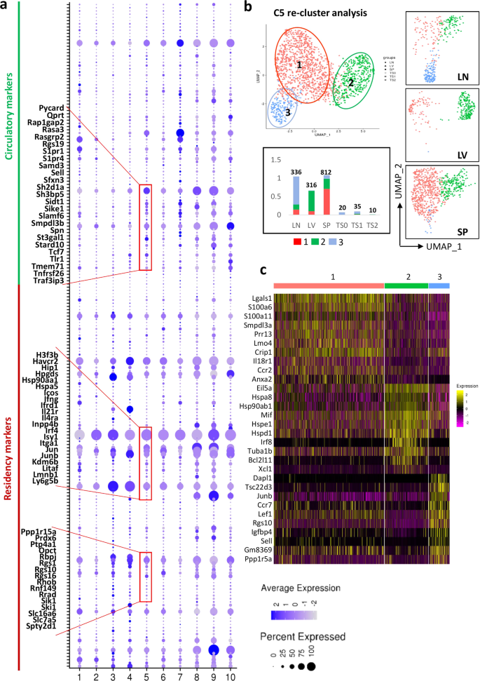 Fig. 5: RTEs characters in peripheral iNKT cells.