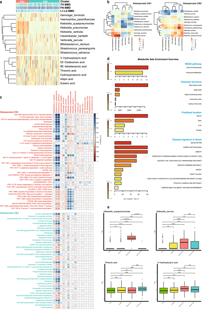 Fig. 4: Microbiota and metabolite signatures associated with osteoporosis and its subtypes.