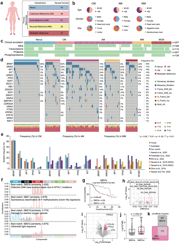 Fig. 1: Multi-omics landscape of melanoma samples.