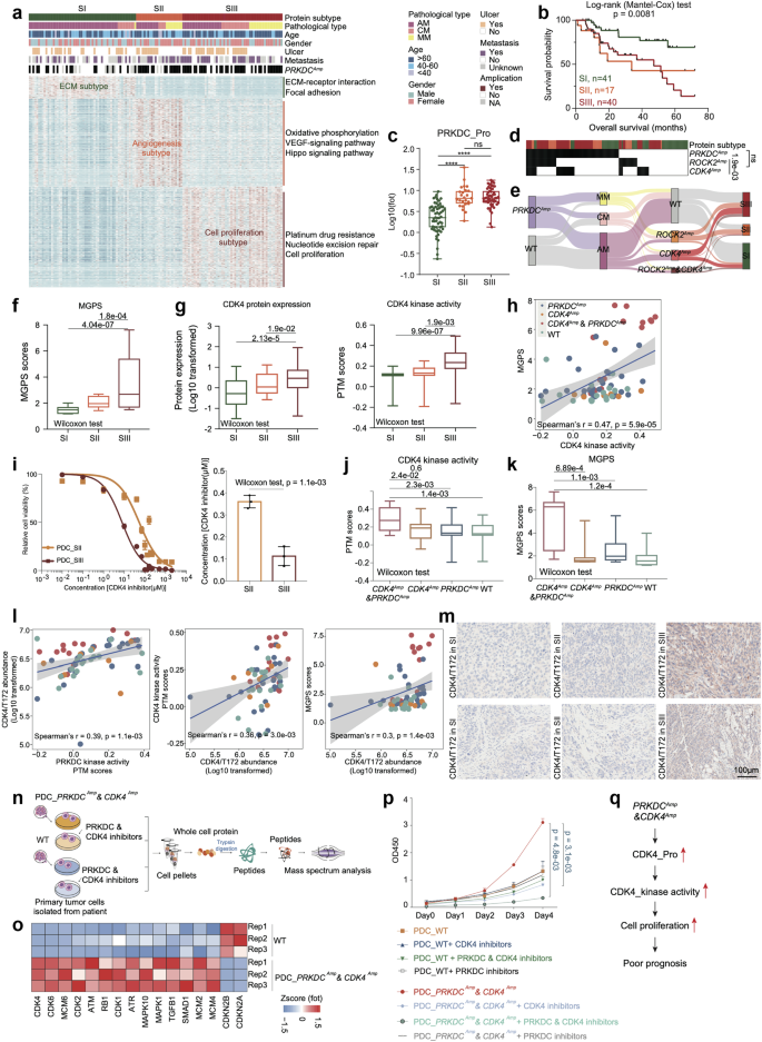 Fig. 4: Proteomic subtypes of primary melanomas.