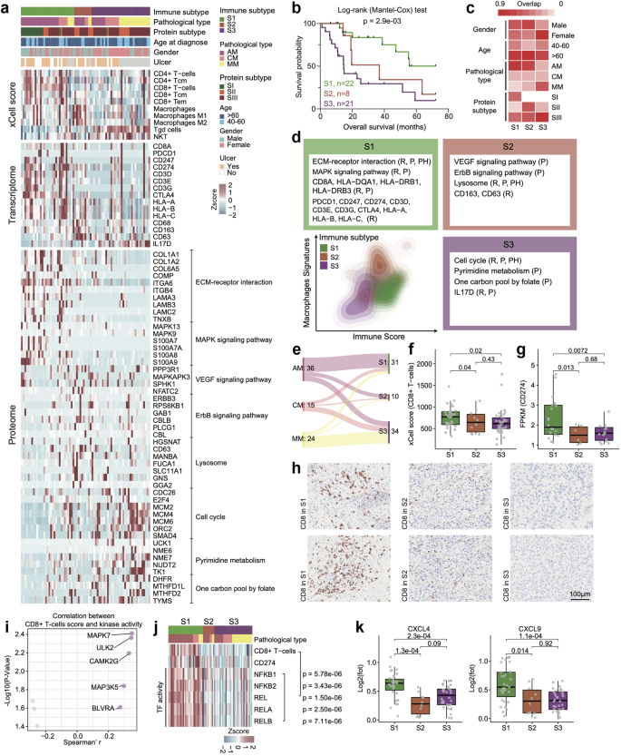 Fig. 6: Immune landscape in melanomas.