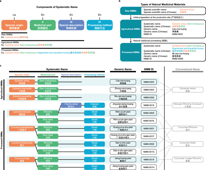 Fig. 2: Systematic Nomenclature for NMMs.