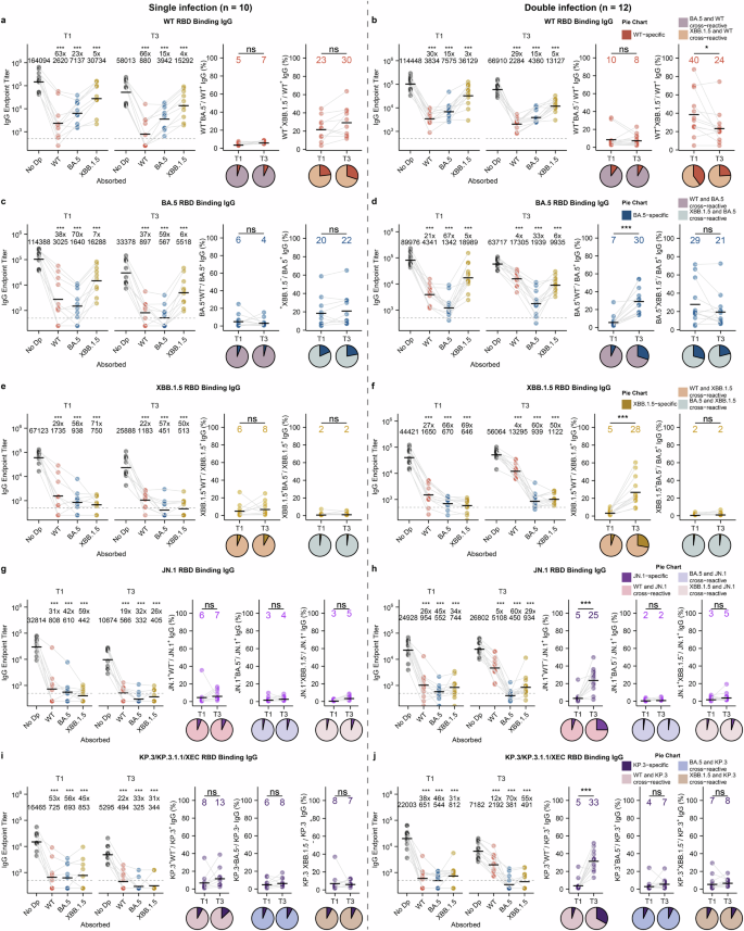 Fig. 3: Multiple Omicron reinfection decreases antibodies that cross-bind to WT SARS-CoV-2.