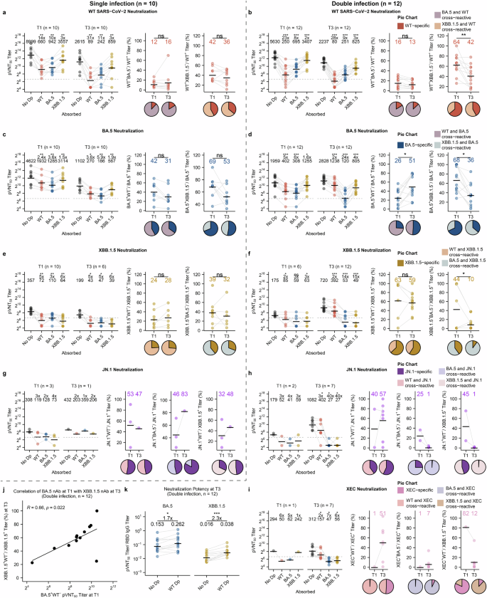 Fig. 4: XBB reinfection elicits cross-neutralizing antibodies among Omicron variants including JN.1 and XEC.