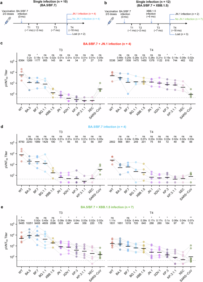 Fig. 5: Double infection group tend to be more resistant to JN.1 infection.