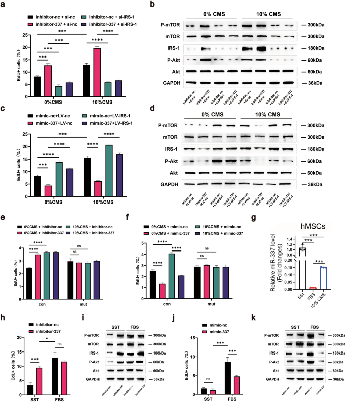 Fig. 4: miR-337 regulates the PI3K-Akt signaling pathway through IRS-1.