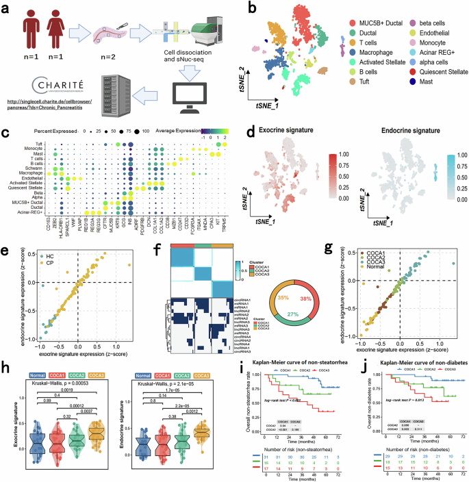 Fig. 2: Establishment and validation of a three-level classification system based on exosomes from CP patients in the derivation cohort.