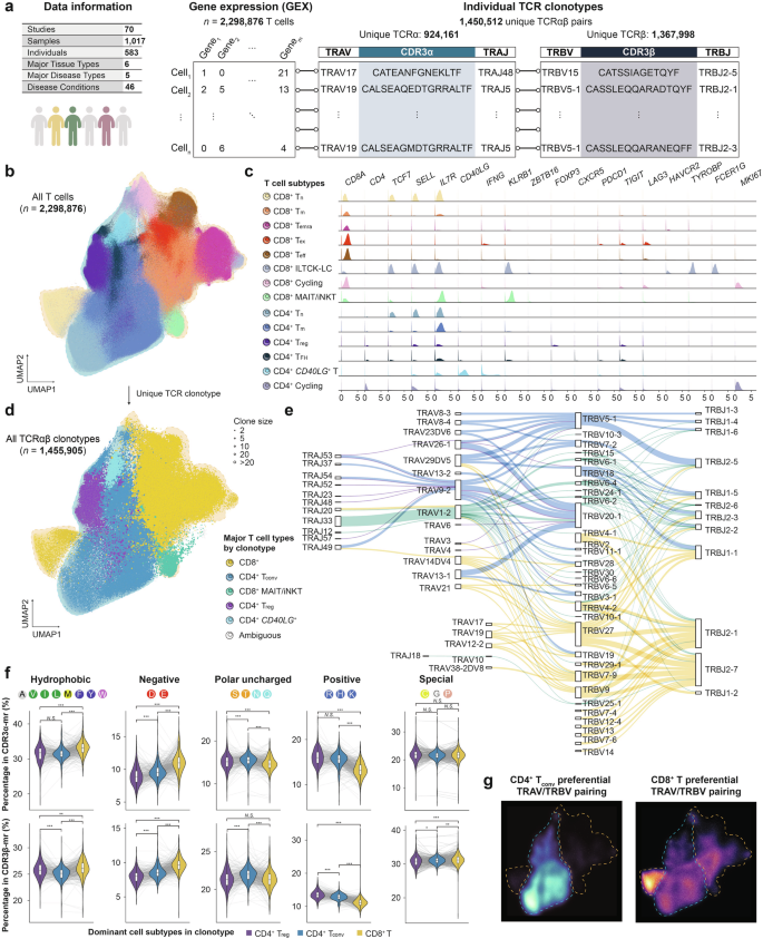 Fig. 1: Overview of the pan-disease single-cell TCRαβ repertoire reference atlas.