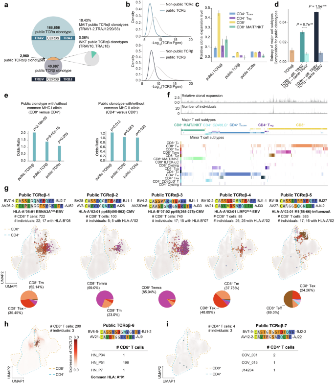Fig. 2: Analysis of the public TCRs from the large-scale scTCR-seq reference atlas.