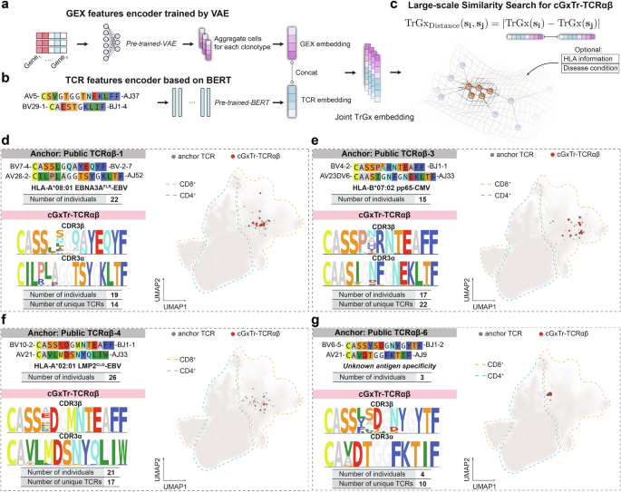 Fig. 3: Searching for TCRαβ clonotypes with convergent TCR and GEX by representation learning.