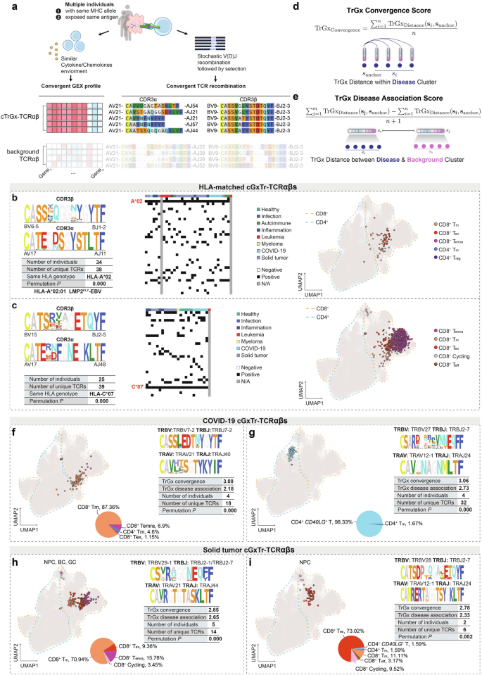 Fig. 4: Identification of HLA-shared and disease-associated cTrGx-TCRαβ clonotype clusters.
