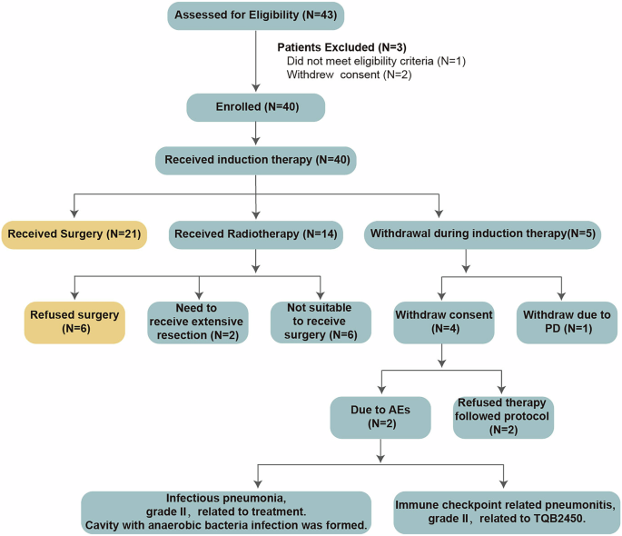 Fig. 1: Patient flow diagram for LungMate-005.