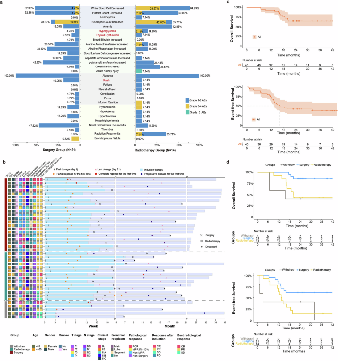 Fig. 2: Safety and effectiveness of surgery or radiotherapy after treatment with anti-PD-L1 antibody (TQB2450) therapy and chemotherapy followed by maintenance therapy.