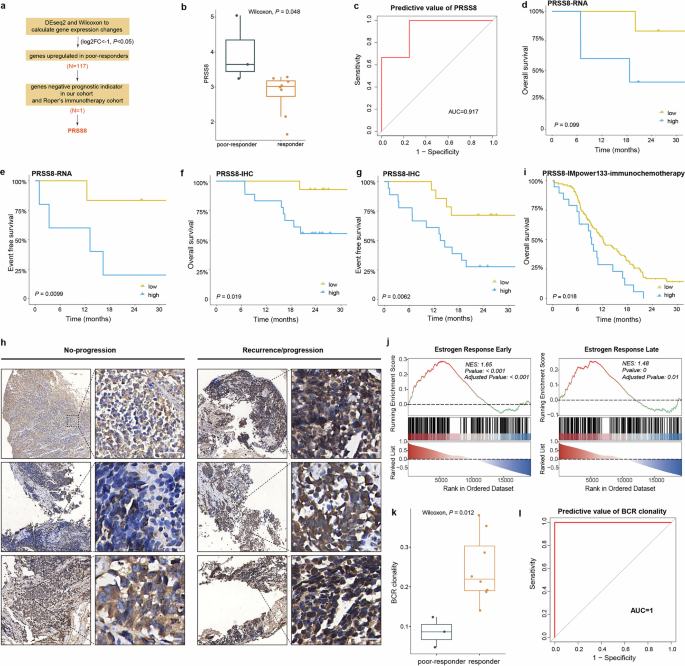 Fig. 3: Transcriptomic features of patients with different responses.