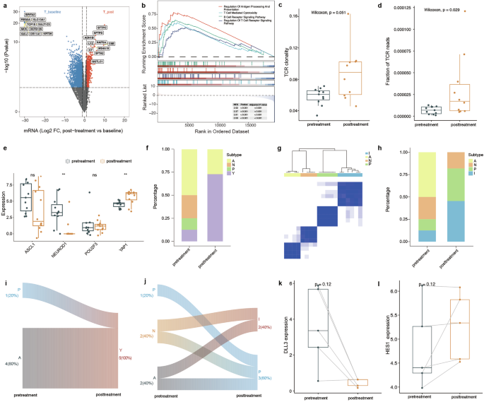 Fig. 4: Dynamic changes within the tumour during induction therapy.