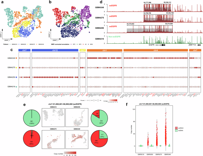 Fig. 3: Heterogeneity of ecDNAs across different GBM patients.