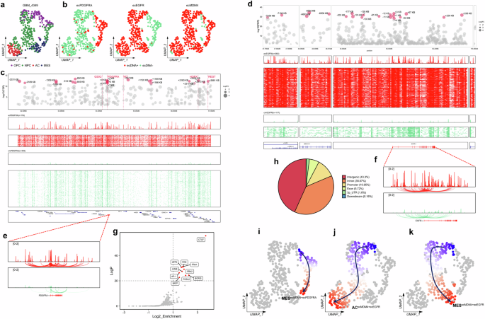 Fig. 4: Associations between multiple ecDNAs within the GBM4349 patient.