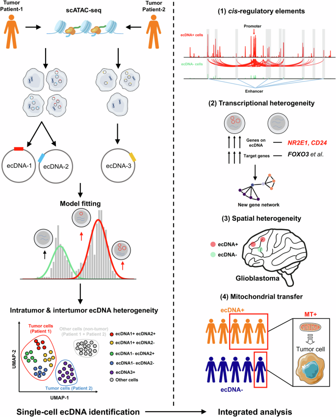 Fig. 8: Graphical abstract of the study.