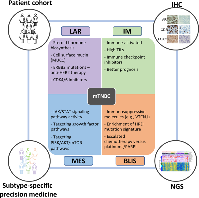 Fig. 1: FUSCC TNBC subtypes.