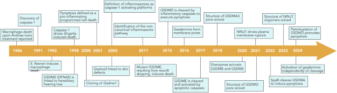 Fig. 1: Key events in the history of pyroptosis.