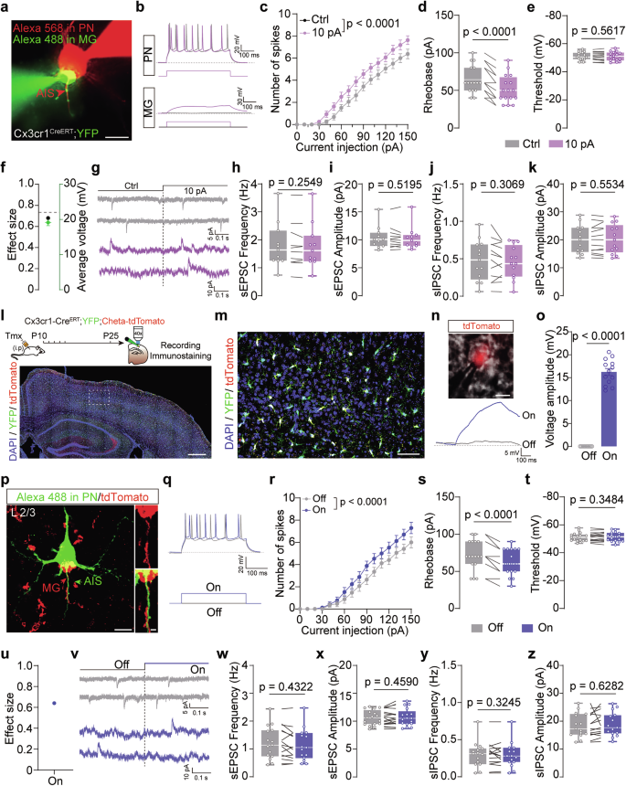 Fig. 3: Brief depolarization of AISa-MGs promotes AP firing of their associated PNs.