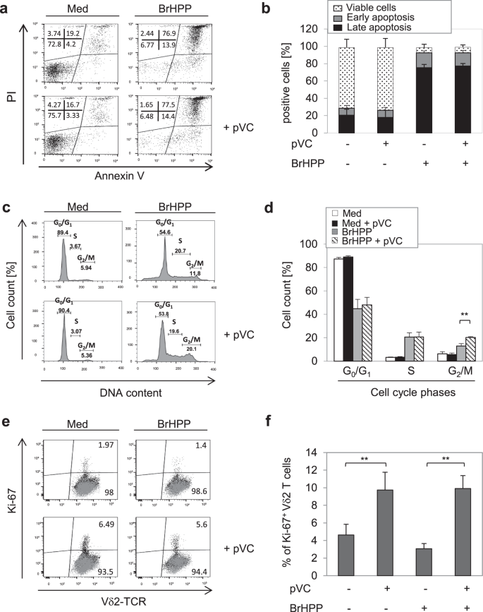 Vitamin C promotes the proliferation and effector functions of human γδ T cells | Cellular & Molecular Immunology Vitamin C promotes the proliferation and effector functions of human γδ T cells | Cellular & Molecular Immunology