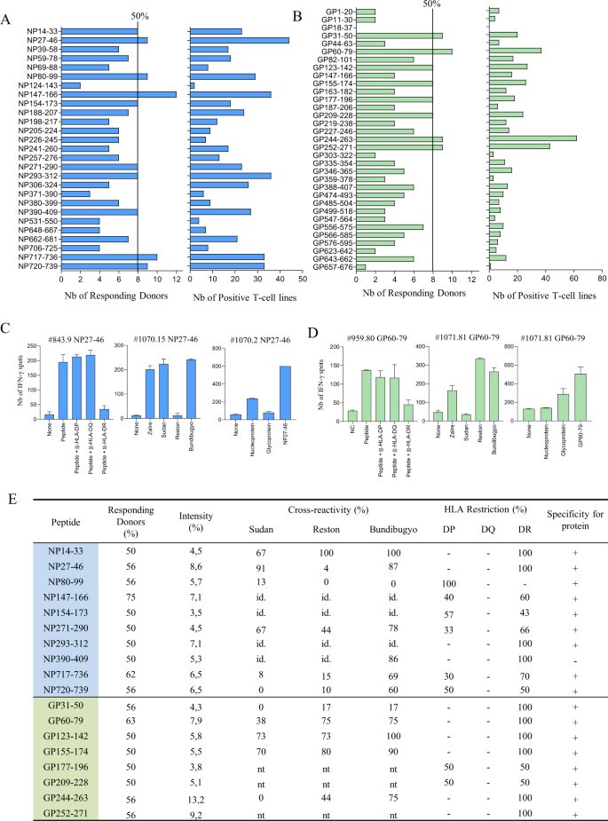 Large Scale Mapping Of The Ebola Np And Gp Proteins Reveals Multiple Immunoprevalent And Conserved Cd4 T Cell Epitopes Cellular Molecular Immunology