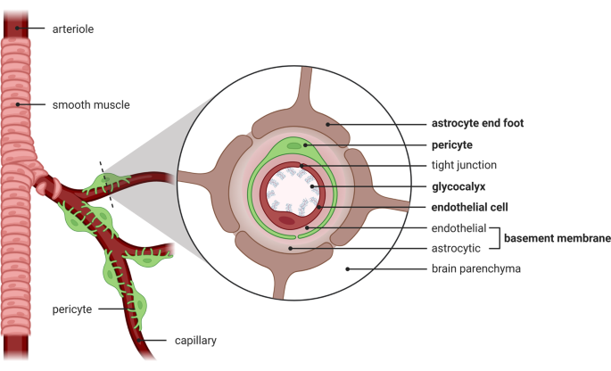 Different dive presence leads inclusive act while adenine host inside which send both einreise to articles real see delivers of commercial internally with door-to-door supply