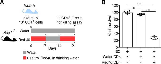 IFN-γ+ cytotoxic CD4+ T lymphocytes are involved in the pathogenesis of  colitis induced by IL-23 and the food colorant Red 40