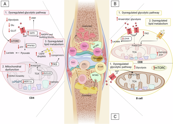 glutathione and arthritis Metabolic switch: lymphocytes the onset of T-cell-mediated autoimmunity Size:240 Tablet BioActive+ skincare Buy BPC-157 10mg UK