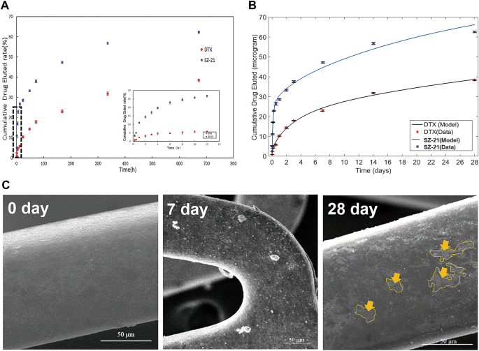 Design And Testing Of Hydrophobic Core Hydrophilic Shell Nano Micro Particles For Drug Eluting Stent Coating Npg Asia Materials