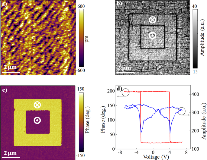 Fig. 2: Topography and nanoscale ferroelectricity.