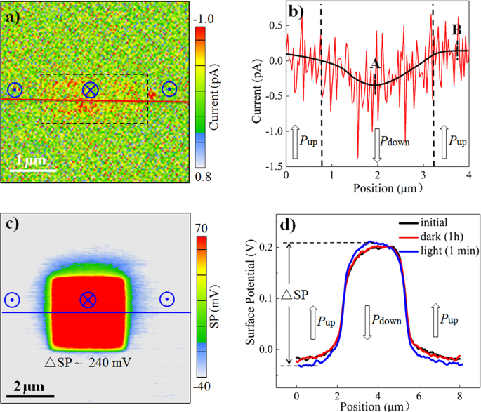 Fig. 9: C-AFM and SKPM mappings on the bare 12-nm PZT film.