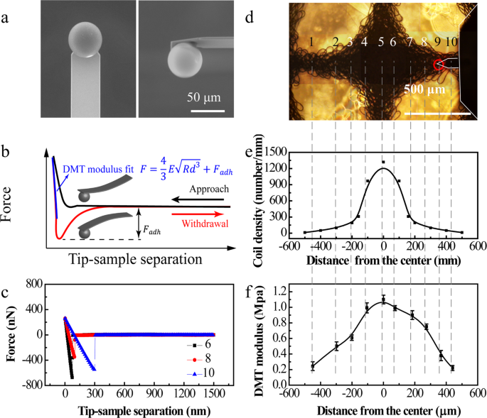 Fig. 4: Local mechanical property measurements for p 2.1 scaffold.