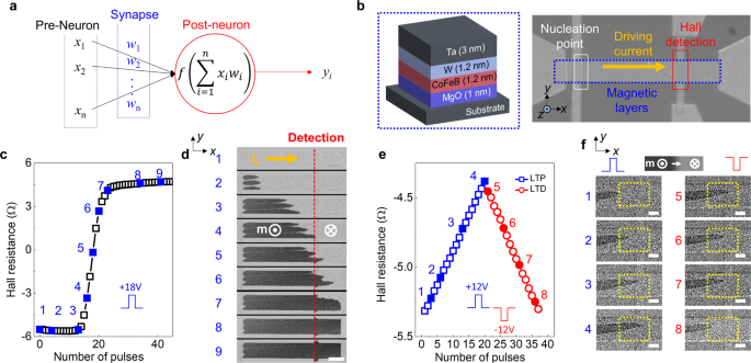Fig. 1: Representative spin neuron and weight functions.