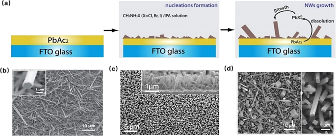 Fig. 2: Growth of 1D morphological MHP by solution-phase methods.