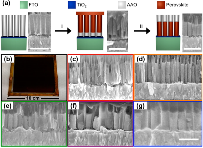 Fig. 5: Growth of 1D morphological MHP by template-assisted methods.